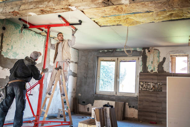 Best Eco-Friendly Insulation in Berwyn, IL