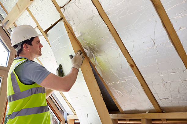 Best Residential Insulation in Berwyn, IL
